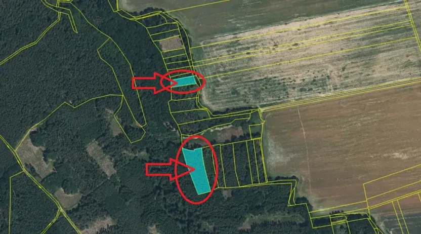 Prodej podílu lesa, Puclice, 12856 m2