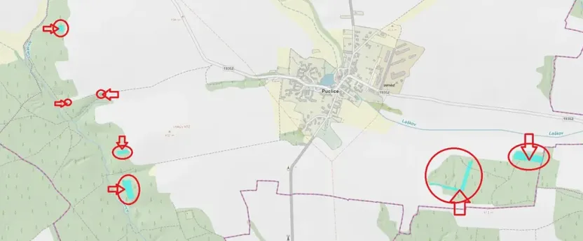 Prodej podílu lesa, Puclice, 12856 m2