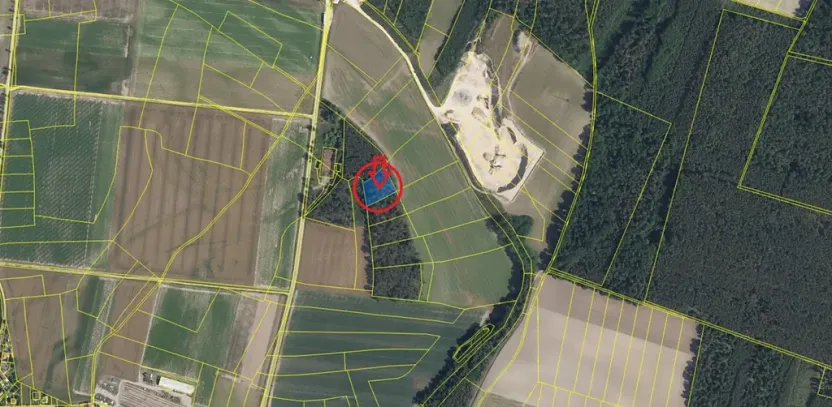 Prodej podílu lesa, Sojovice, 1204 m2