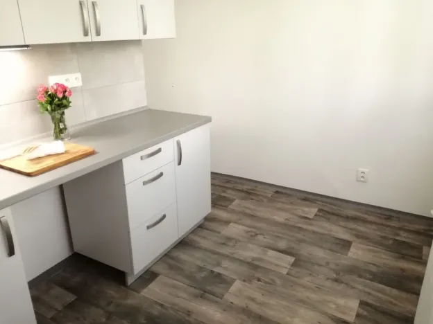 Pronájem bytu 2+1, Ostrava - Hrabůvka, Dr. Martínka, 50 m2