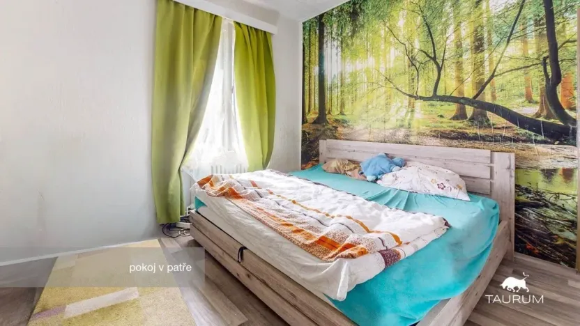 Prodej činžovního domu, Františkovy Lázně, Pod Lipami, 383 m2