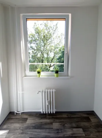 Pronájem bytu 2+1, Ostrava - Zábřeh, Horymírova, 44 m2