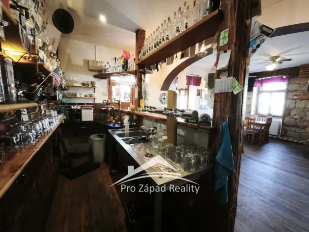 Pronájem restaurace, Plzeň, Doudlevecká, 220 m2