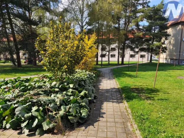 Pronájem bytu 2+1, Dobřany, Hornická, 68 m2