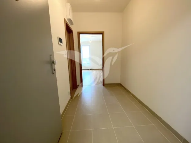 Pronájem bytu 1+kk, Plzeň, Stehlíkova, 30 m2