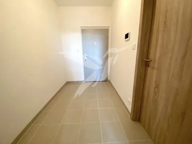 Pronájem bytu 1+kk, Plzeň, Stehlíkova, 30 m2