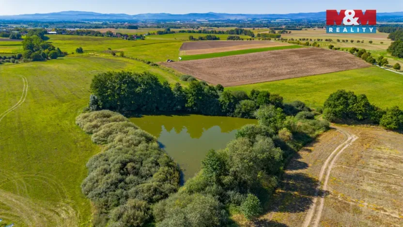 Prodej pozemku pro bydlení, Dříteň - Libív, 4001 m2