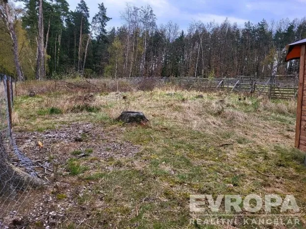 Prodej lesa, Břežany, 2152 m2