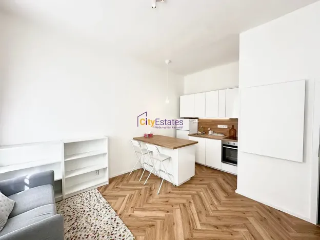 Pronájem bytu 1+kk, Praha - Žižkov, Chlumova, 32 m2