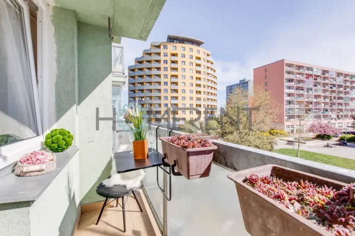 Pronájem bytu 2+kk, Praha - Záběhlice, Jabloňová, 32 m2