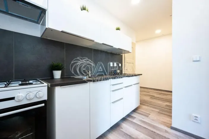 Pronájem bytu 1+1, Praha - Vršovice, Ruská, 38 m2