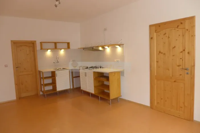 Prodej bytu 2+kk, Plzeň - Východní Předměstí, Guldenerova, 55 m2