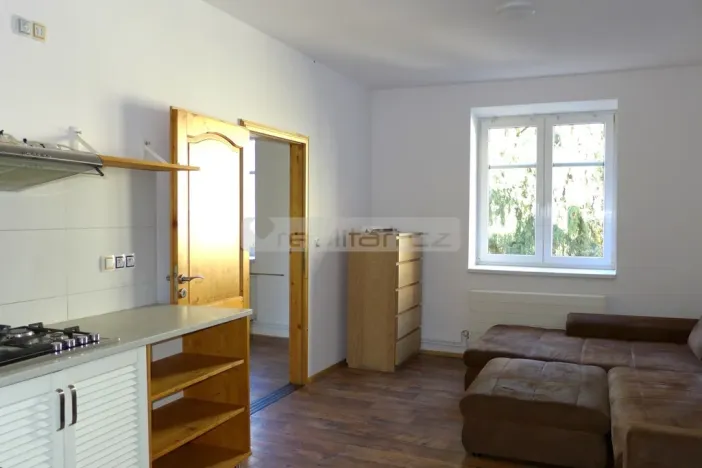 Prodej bytu 2+kk, Plzeň - Východní Předměstí, Guldenerova, 55 m2