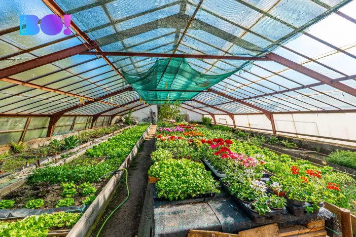 Prodej rodinného domu, Orlová, 17. listopadu, 160 m2