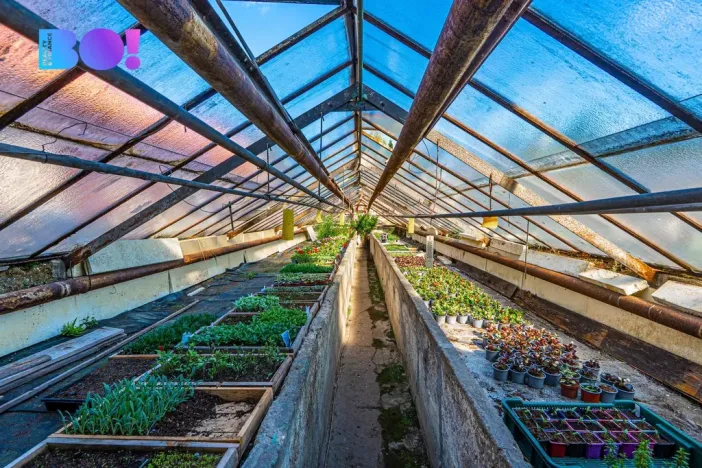 Prodej rodinného domu, Orlová, 17. listopadu, 160 m2