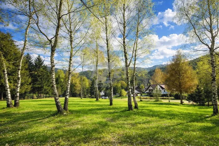 Prodej zahrady, Horní Bečva, 4093 m2