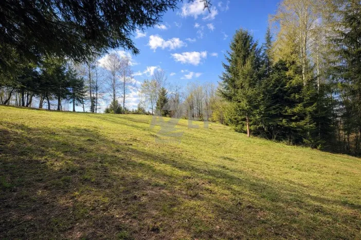 Prodej zahrady, Horní Bečva, 4093 m2