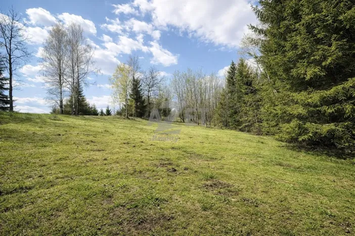 Prodej zahrady, Horní Bečva, 4093 m2