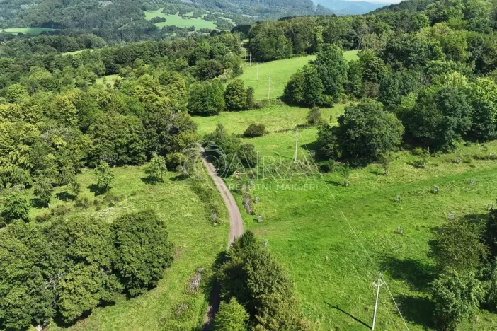 Prodej sadu/vinice, Vojkovice - Jakubov, 199287 m2
