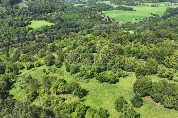 Prodej sadu/vinice, Vojkovice - Jakubov, 199287 m2