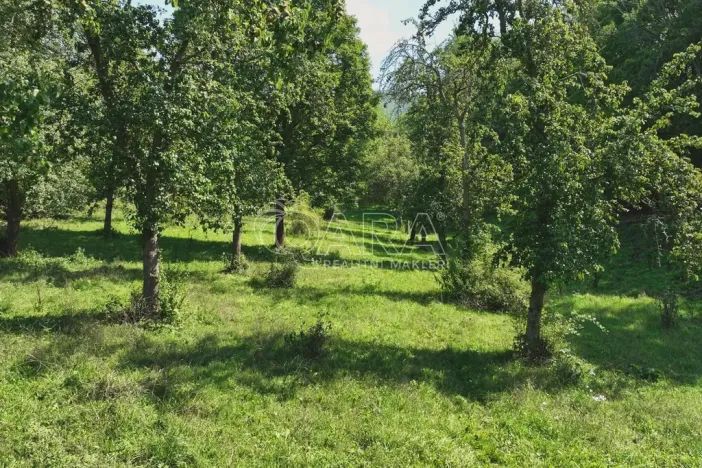 Prodej louky, Vojkovice - Jakubov, 199287 m2