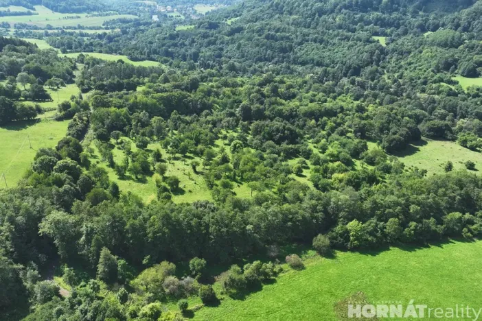 Prodej louky, Vojkovice - Jakubov, 199287 m2