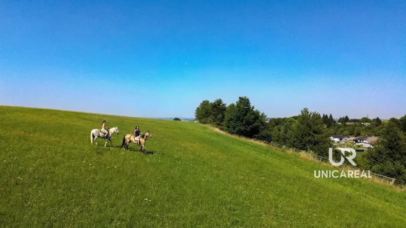 Prodej rodinného domu, Kamenná Horka, 273 m2