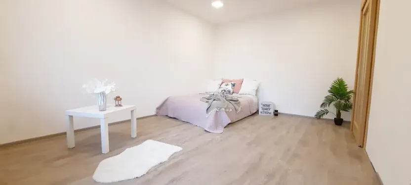 Pronájem bytu 1+1, Brno, Fričova, 46 m2