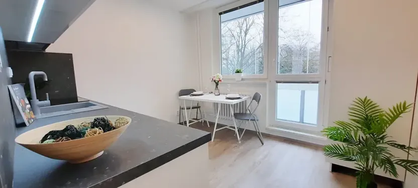 Pronájem bytu 1+1, Brno, Fričova, 46 m2