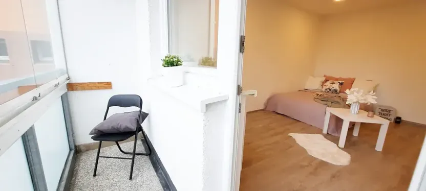 Pronájem bytu 1+1, Brno, Fričova, 46 m2