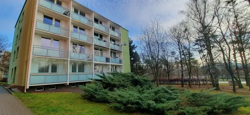 Pronájem bytu 1+1, Brno, Fričova, 46 m2