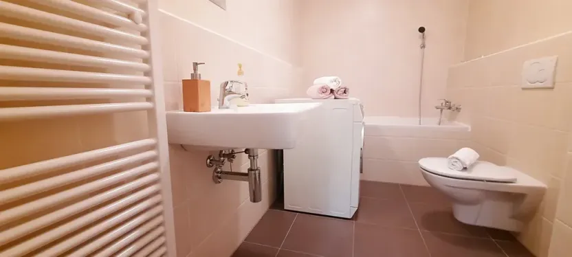 Pronájem bytu 1+kk, Brno, Šemberova, 51 m2