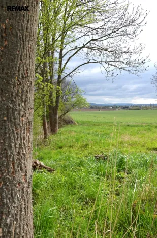 Prodej louky, Podhradí, 744 m2