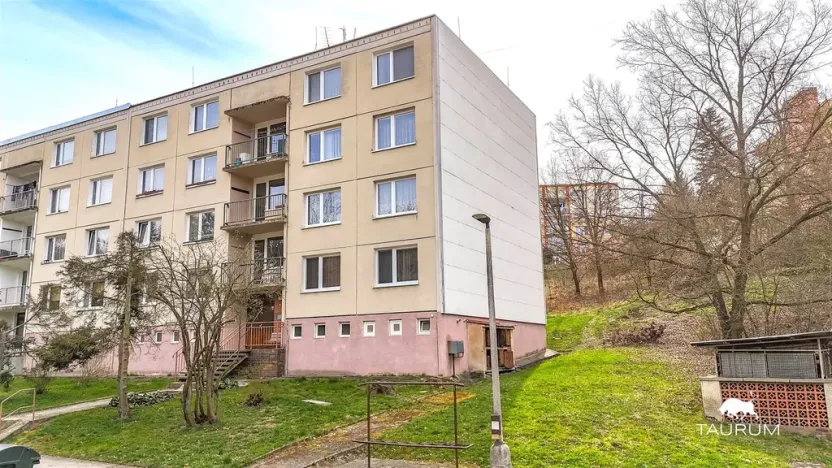 Prodej bytu 3+1, Plasy, Potoční, 74 m2