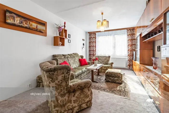 Prodej bytu 3+1, Plasy, Potoční, 74 m2