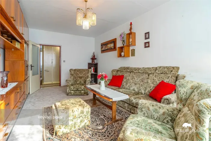 Prodej bytu 3+1, Plasy, Potoční, 74 m2