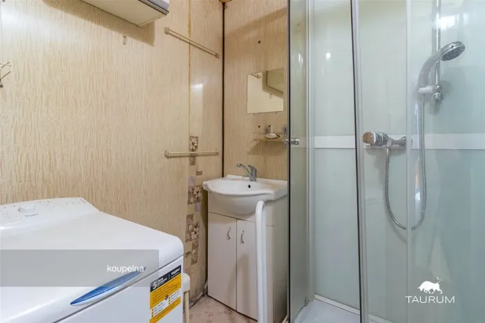 Prodej bytu 3+1, Plasy, Potoční, 74 m2