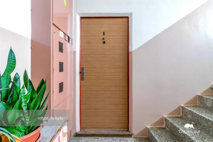 Prodej bytu 3+1, Plasy, Potoční, 74 m2