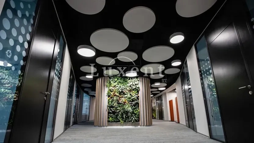 Pronájem kanceláře, Praha - Michle, Jihlavská, 902 m2