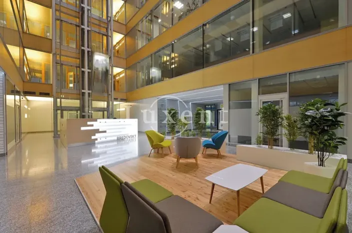 Pronájem kanceláře, Praha - Nové Město, Olivova, 300 m2