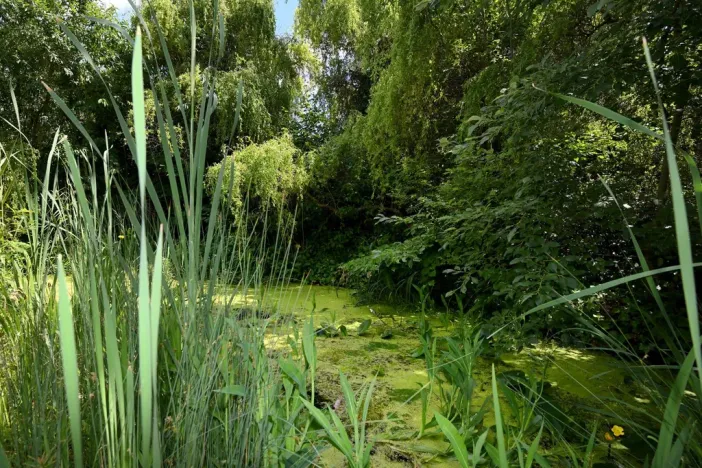 Pronájem rodinného domu, Světice, Na Spojce, 320 m2