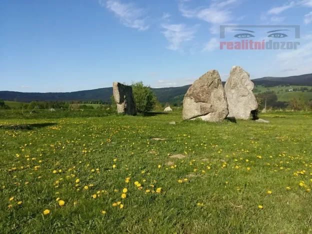 Prodej bytu 1+kk, Říčky v Orlických horách, 55 m2