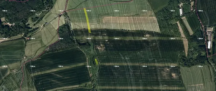 Prodej podílu pole, Boršice, 8735 m2