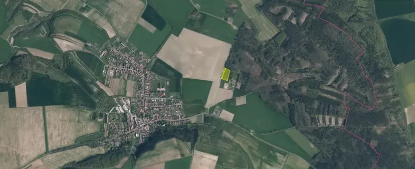 Prodej lesa, Bechlín, 6309 m2