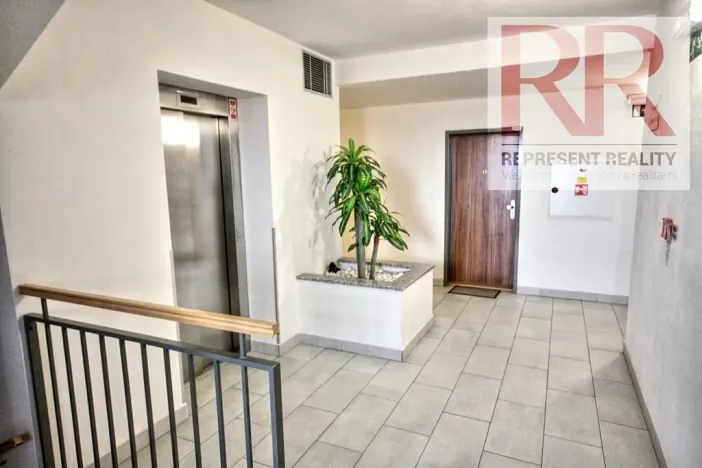 Pronájem bytu 1+kk, Plzeň, U Borských kasáren, 40 m2