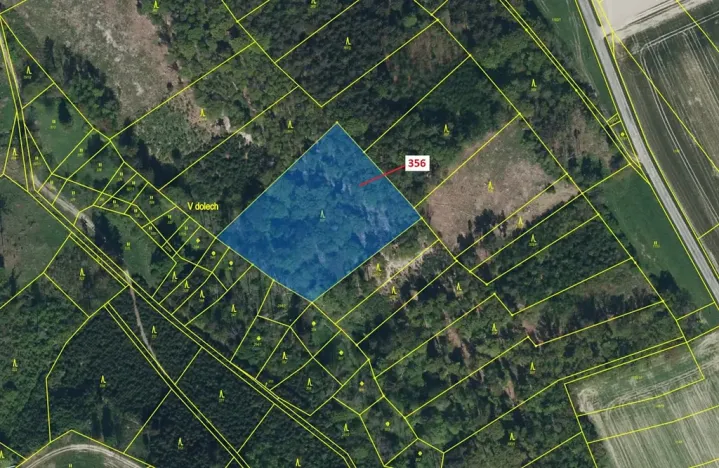 Dražba lesa, Řepníky, 6762 m2