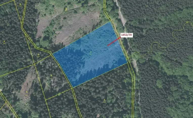 Dražba lesa, Horní Lomná, 17892 m2