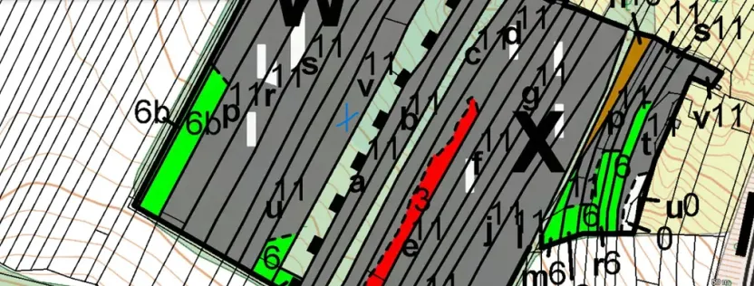 Prodej lesa, Silůvky, 2829 m2