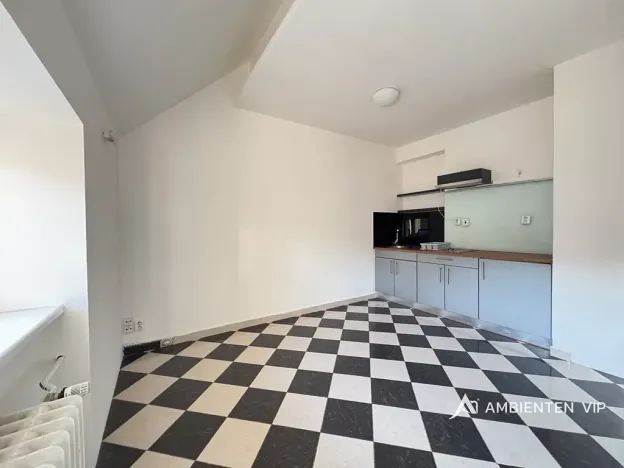 Prodej bytu 1+1, Brno, Čápkova, 54 m2
