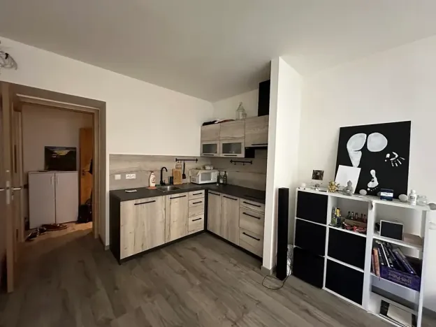 Pronájem bytu 1+kk, Praha - Bubeneč, dr. Zikmunda Wintra, 31 m2